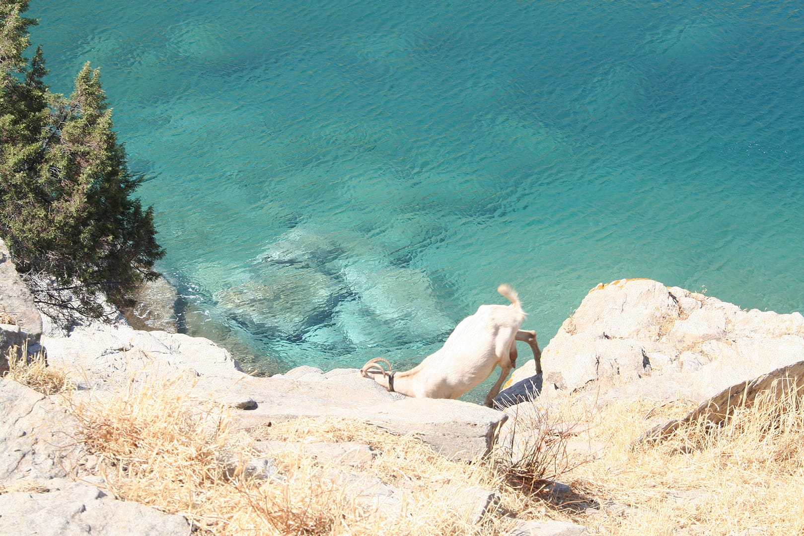 Petra holiday lodges